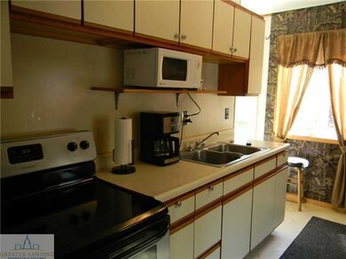 1917 Mary Ave, Lansing, MI 48910 - photo 4