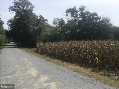 0 Levishohn St, Pittsgrove, NJ 08318 - photo 3