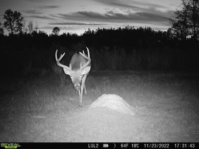 2 Cemetery Rd, Ecru, MS 38841 - photo 5