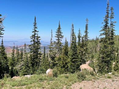IMG_0154