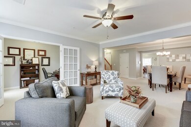 42603 Cardinal Trace Terrace, Ashburn, VA 20148 - photo 6