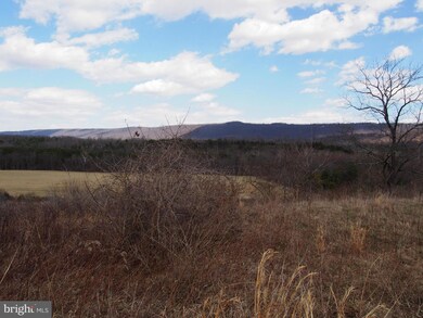 0 Puffenburger unit 1000088937, Hedgesville, WV 25427 - photo 3