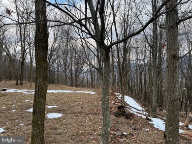 63 Sit Back Rd Off 93 E, Mount Storm, WV 26739 - photo 7