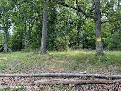 Rt 307 Trout Ln, Overfield Township, PA 18419 - photo 3