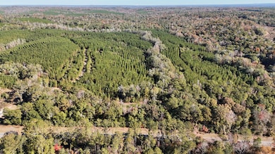 0000 Highway 82, Eufaula, AL 36027 - photo 5