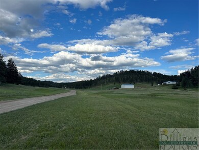 View of road coming in and both 10 acre parcels.