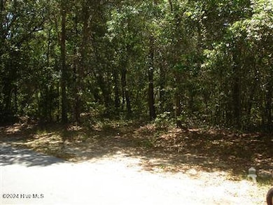 126 Edward Teach Close, Bald Head Island, NC 28461 - photo 2