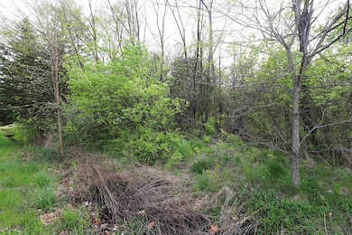 3371 Ann Dr, Flushing, MI 48433 - photo 2