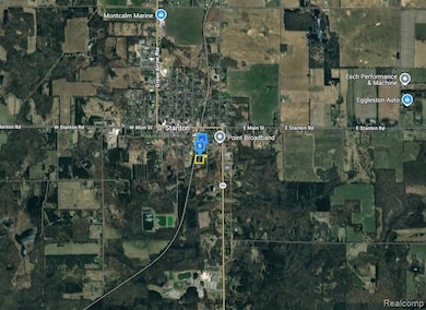 410 Grove St S, Stanton, MI 48888 - photo 4