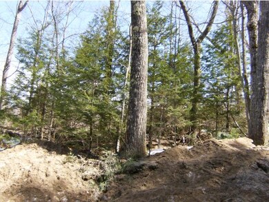 00-A Youngs Hill Rd, Freedom, NH 03836 - photo 5