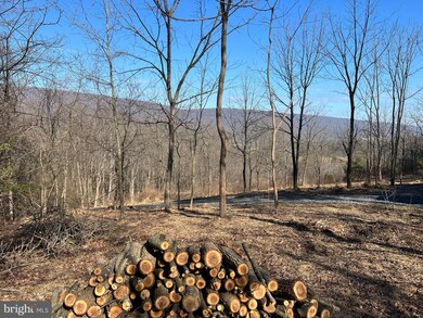 1124 Dormantown Rd, Mc Clure, PA 17841 - photo 6