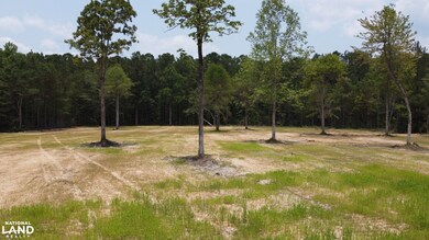 0 Steed Creek Rd unit 25684025, Huger, SC 29450 - photo 6