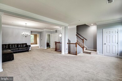 7142 Daniel John Dr, Elkridge, MD 21075 - photo 6