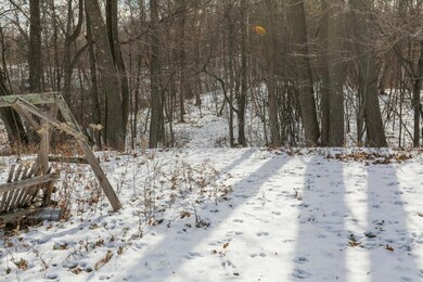 Walking trails