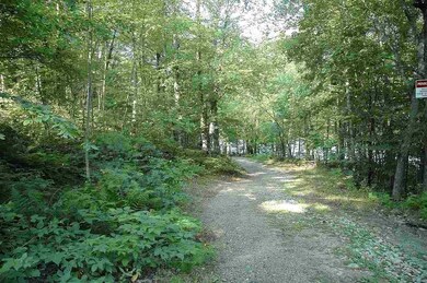 528 Berry River Rd, Barrington, NH 03825 - photo 2