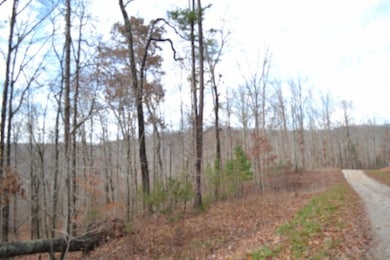 0 Tomahawk unit RTC3050220, Jamestown, TN 38556 - photo 6