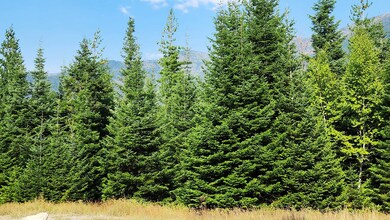 11678 S Whitetail Rd, Bigfork, MT 59911 - photo 5