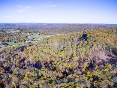 25ac Brotherton Mtn Rd, Cookeville, TN 38506 - photo 4