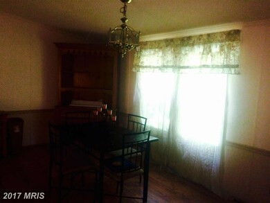 12233 Drogheda Mountain Rd, Rixeyville, VA 22737 - photo 4