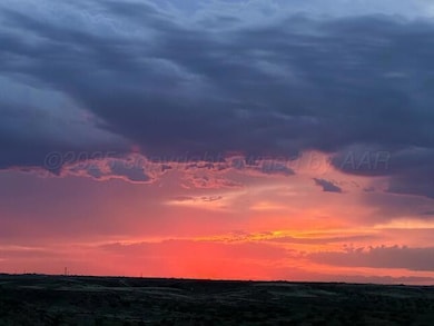 IMG_6210