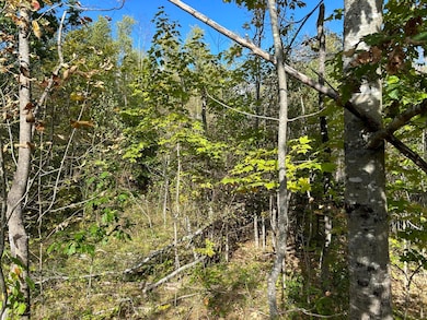 M5L28-5 Moosehead Trail Hwy, Brooks, ME 04921 - photo 7