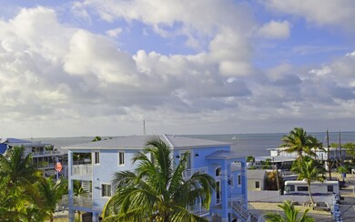 1 View