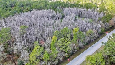 North view on West Dr.