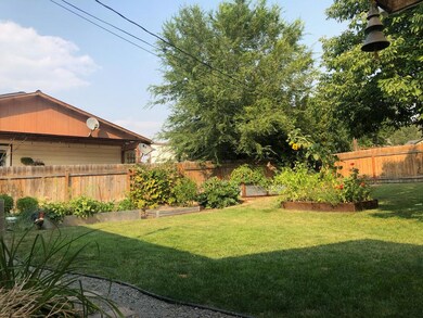 Fertile Backyard for Growing
