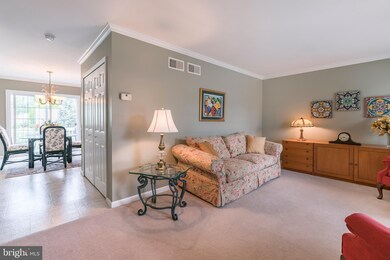 4175 Green Park Dr, Mount Joy, PA 17552 - photo 7