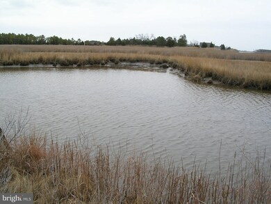 1748 E Tedious Creek Rd, Toddville, MD 21672 - photo 3