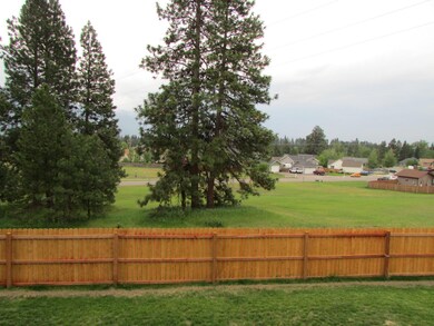 Backyard 2