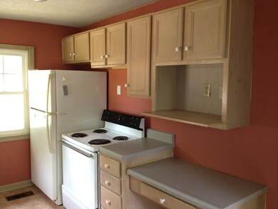 Kitchen Pic 2