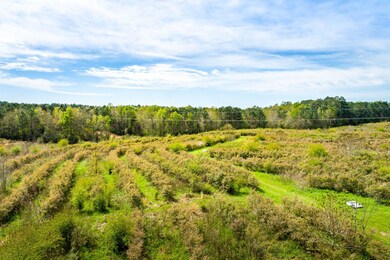 Drone View