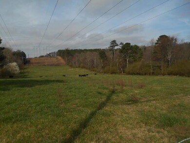 Terry MIles property 004