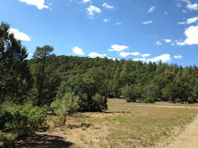 33079 Mountain Meadow Overlook unit Lot D11, Trinidad, CO 81082 - photo 2