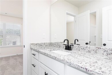 456 Egret Ct, Hoschton, GA 30548 - photo 4