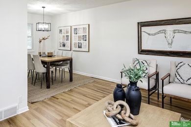 906 Chisholm Trail, Papillion, NE 68046 - photo 6