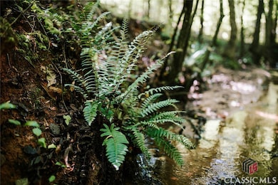 0 Griffin Rd unit CM1027810, Royston, GA 30662 - photo 5