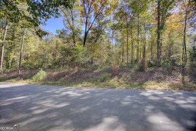 1804 Wiggins Cir SW, Conyers, GA 30094 - photo 4