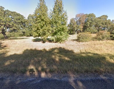 Plantation Blvd, Trinity, TX 75862 - photo 4