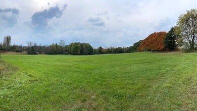 IMG_3345