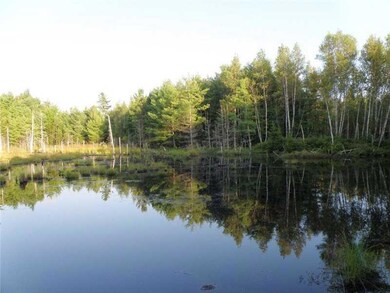 Land/Lot. Great wildlife attractor