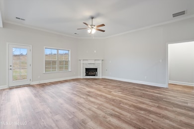 951 Collie Dr, Hernando, MS 38651 - photo 7