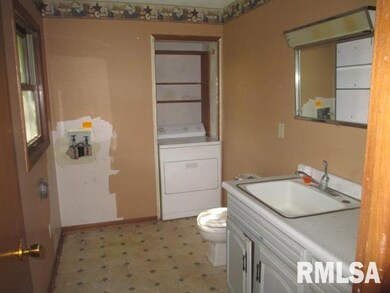 321 Ferry Rd, Geneseo, IL 61254 - photo 4