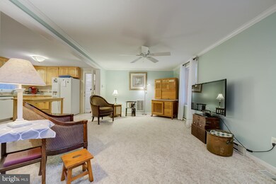 5114 Jacks Ln, West River, MD 20778 - photo 5