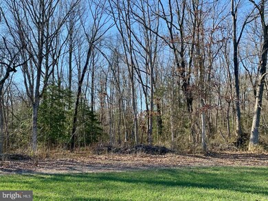 0 Willow Grove Rd unit NJGL2027114, Monroeville, NJ 08343 - photo 6