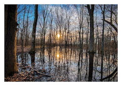 4297 U S 62, Corning, AR 72422 - photo 2