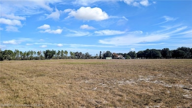 4492 Alderman Rd, Bowling Green, FL 33834 - photo 5