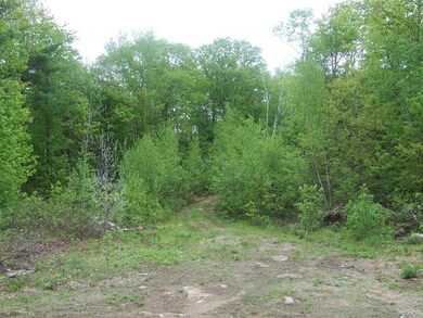 Lot 1A Spring Rd, Newfield, ME 04056 - photo 5