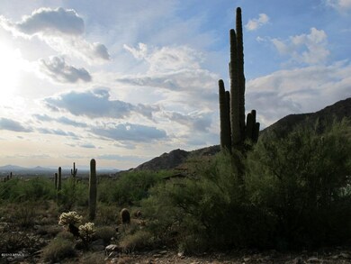 Lot 1608 - West View